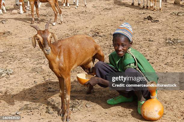 Person say Onyiko dun milk everything from Phyno 🐐 na why Evado song with Phyno no blow😂😂