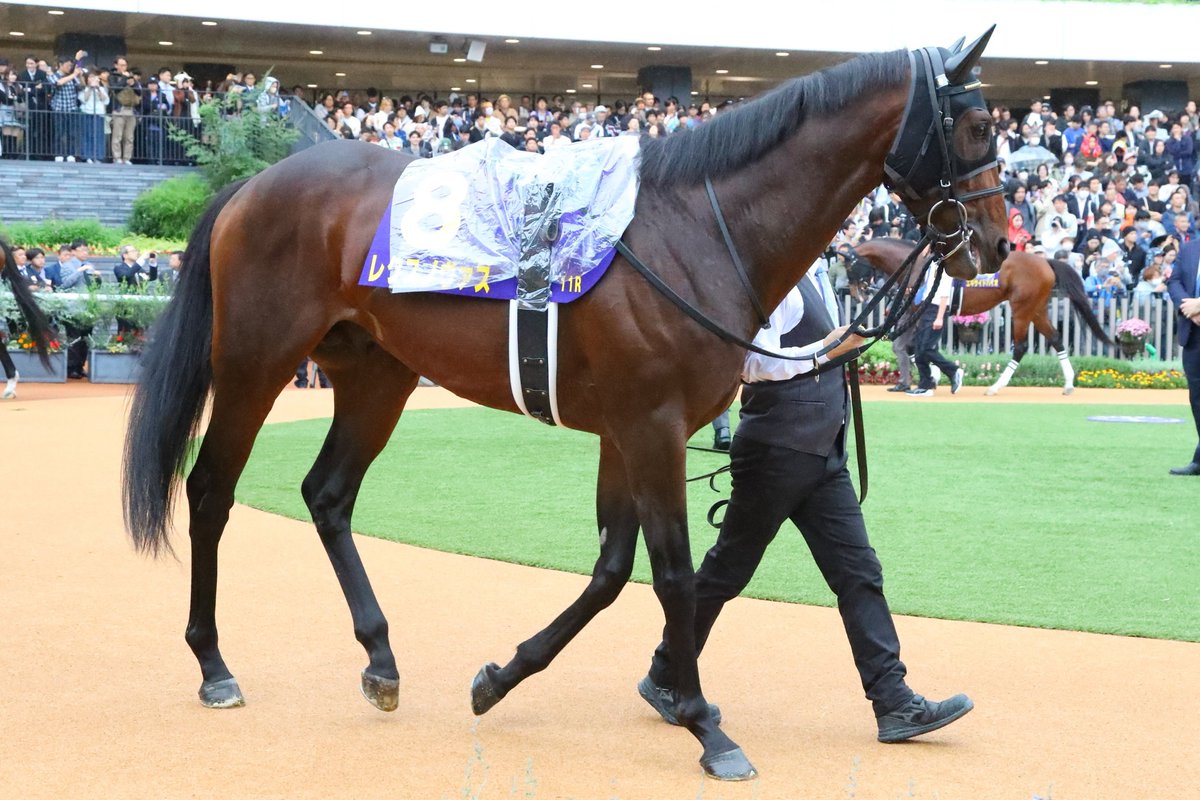 キタサン (@isNzJiynLZkM1Ej) / Posts / X