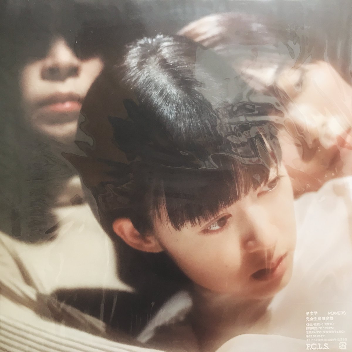 Suchmos & Hedgehogs レコード コレクション Godzilla X Kong The New Empire Shimo Godzilla Evolved Kong