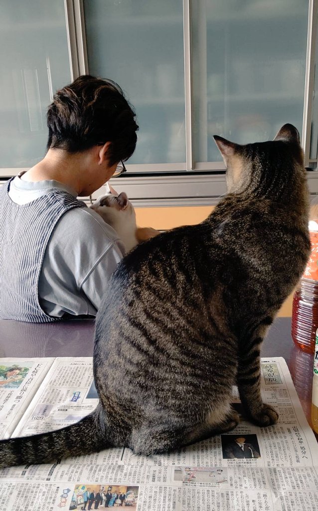 ꕤ︎︎ちびすけ‪‪‪٩(๑❛ᴗ❛๑)۶さん専用ꕤ︎︎ ٩(๑❛ᴗ❛๑)۶ on X: 