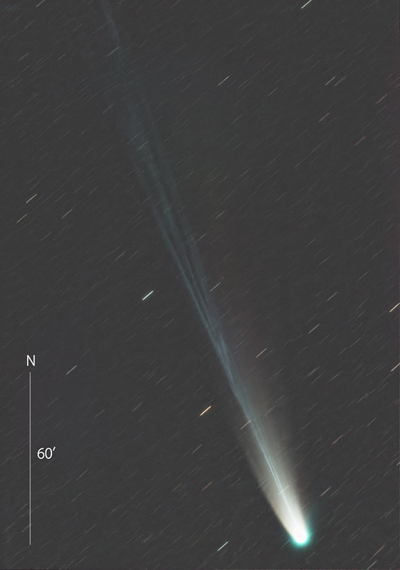 星のおじさん on X