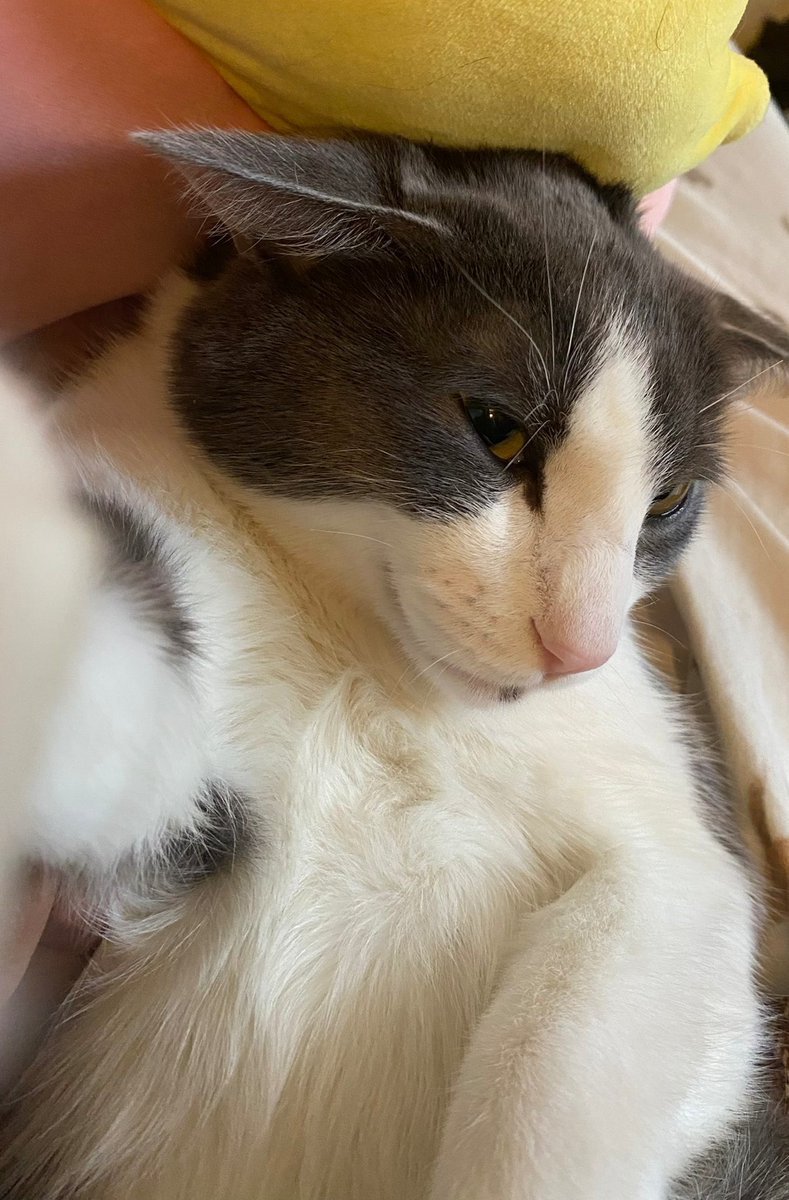 Take a look at how handsome us dry lovers are, simply beautiful creatures.

I have no idea what 'other selfie' you're thinking about but it's definitely not real