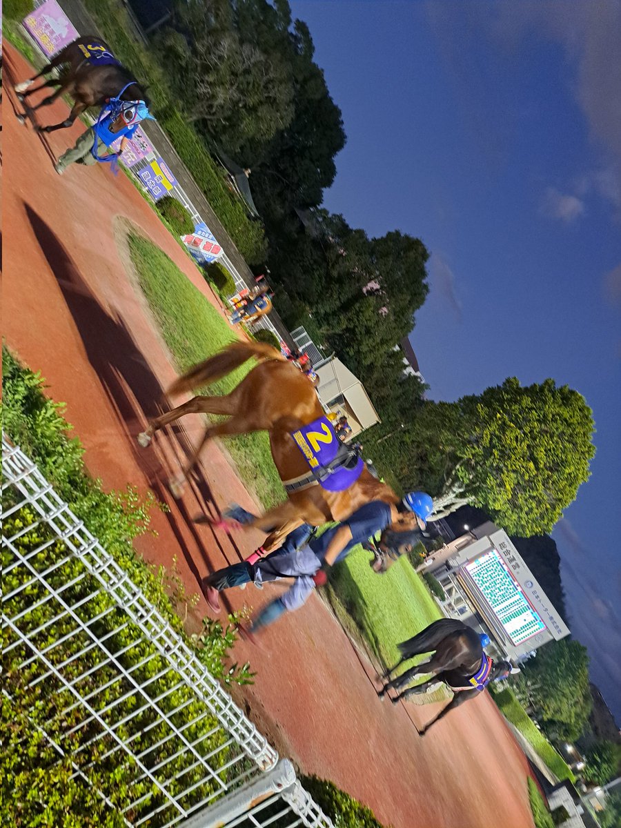 ティン⭐︎様 children of the discordance