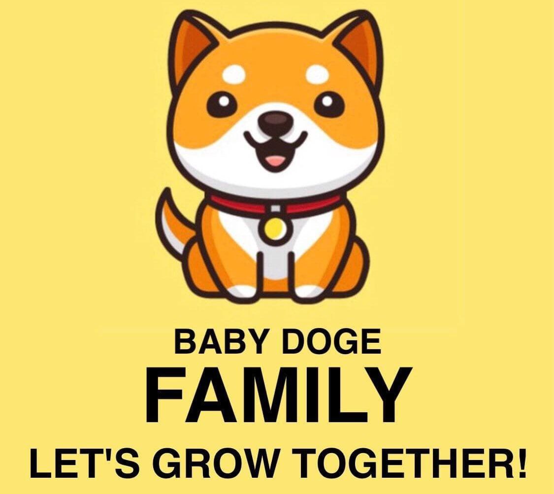 Do you want to chat about #BABYDOGE or $MISSION? Join our channels! 👶🐶

BabyDogeAnnouncements chat: t.me/BabyDogeAnnoun…

BabyDogeArmy chat: t.me/BabyDogeArmy

BabyDogePAWS (MISSION) chat: t.me/babydogepaws