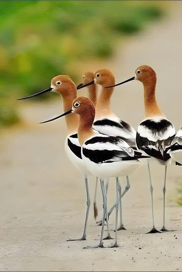 INTRESTINGNATUR's tweet photo. https://t.co/93MZeTOVS2