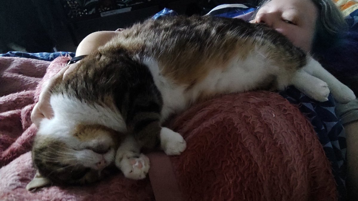 Я: 
Ух, отосплюсь с сб на вс, встану рано - сделаю ВСЕ дела

Муж ночью: 
приходит домой в 3.30, просит проконтролировать, чтобы он встал в 5 - надо отвезти группу в аэропорт 

Кожжжка утром: