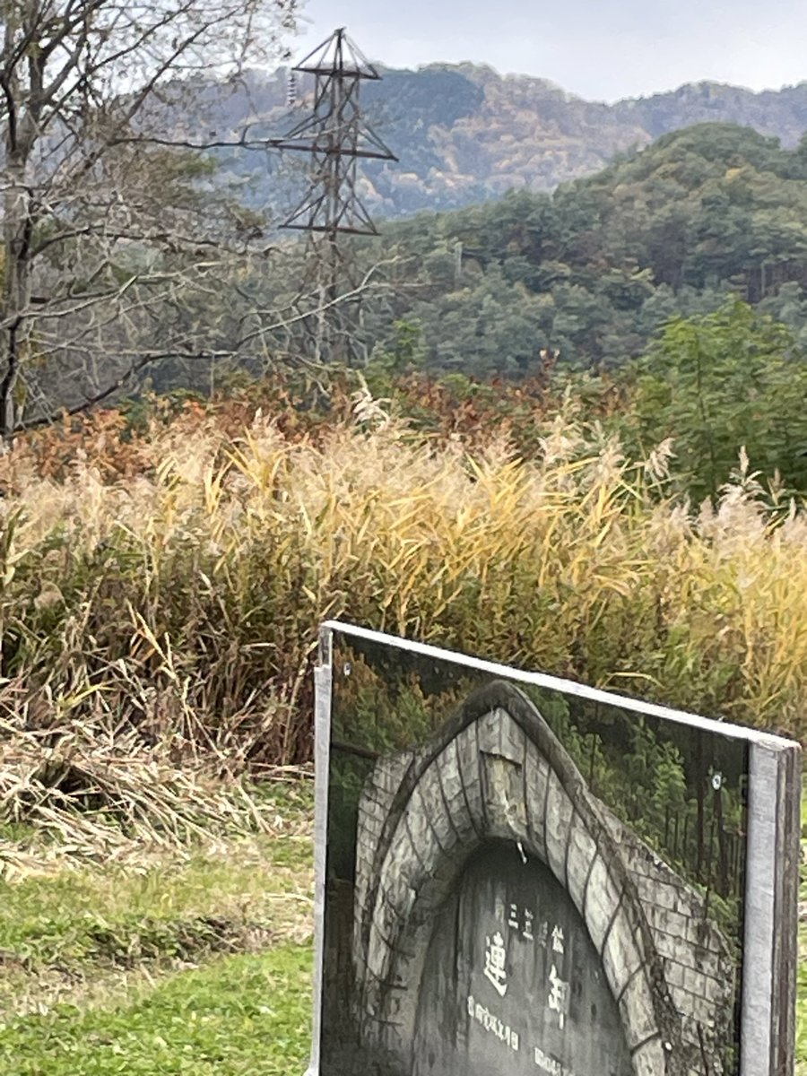 西 factory (@KDbV2ogSfZI1imn) / Posts / X