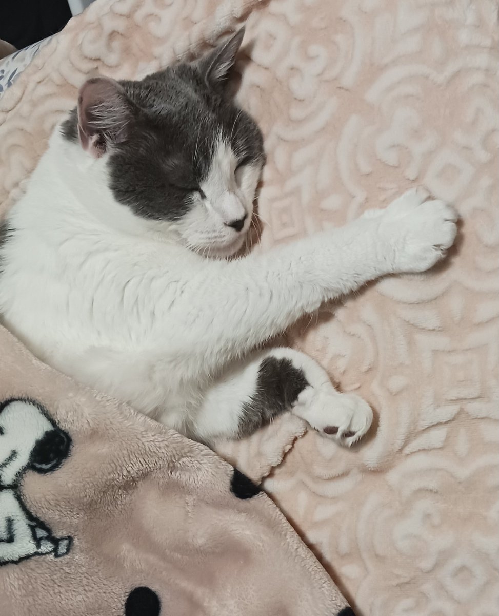 egglinsbest's tweet image. how i sleep after getting pee on my butt and making momb have to give me a bath