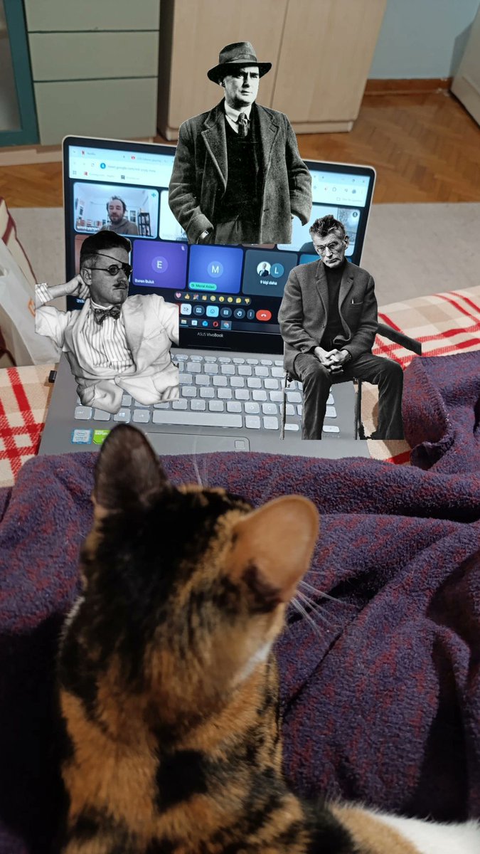 emre yaman tweet media