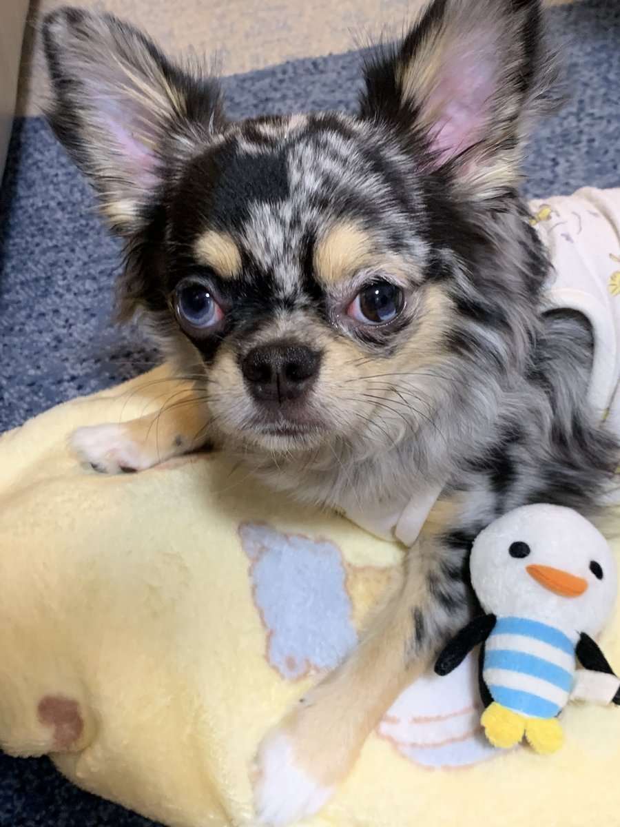 本日もよろしくお願いします💓雨やんだよぉ。