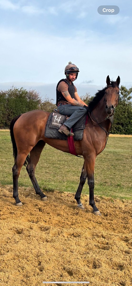 Let's Get Racing Club tweet media