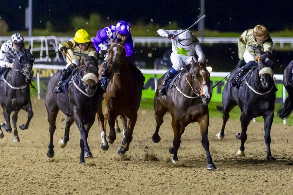 Ruth Carr Racing Ltd tweet media