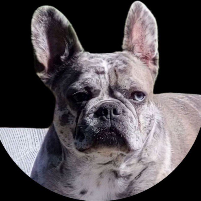 🎉 Airdrop Distributed
Token: $ELLA (ELLA)
Total: 25,000
Recipients: 131
All holders can claim from the rewards page.
Visit cryptolibertydefi.com for more info.