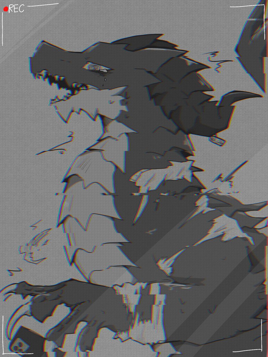 ただの鳥好き🦅 on X