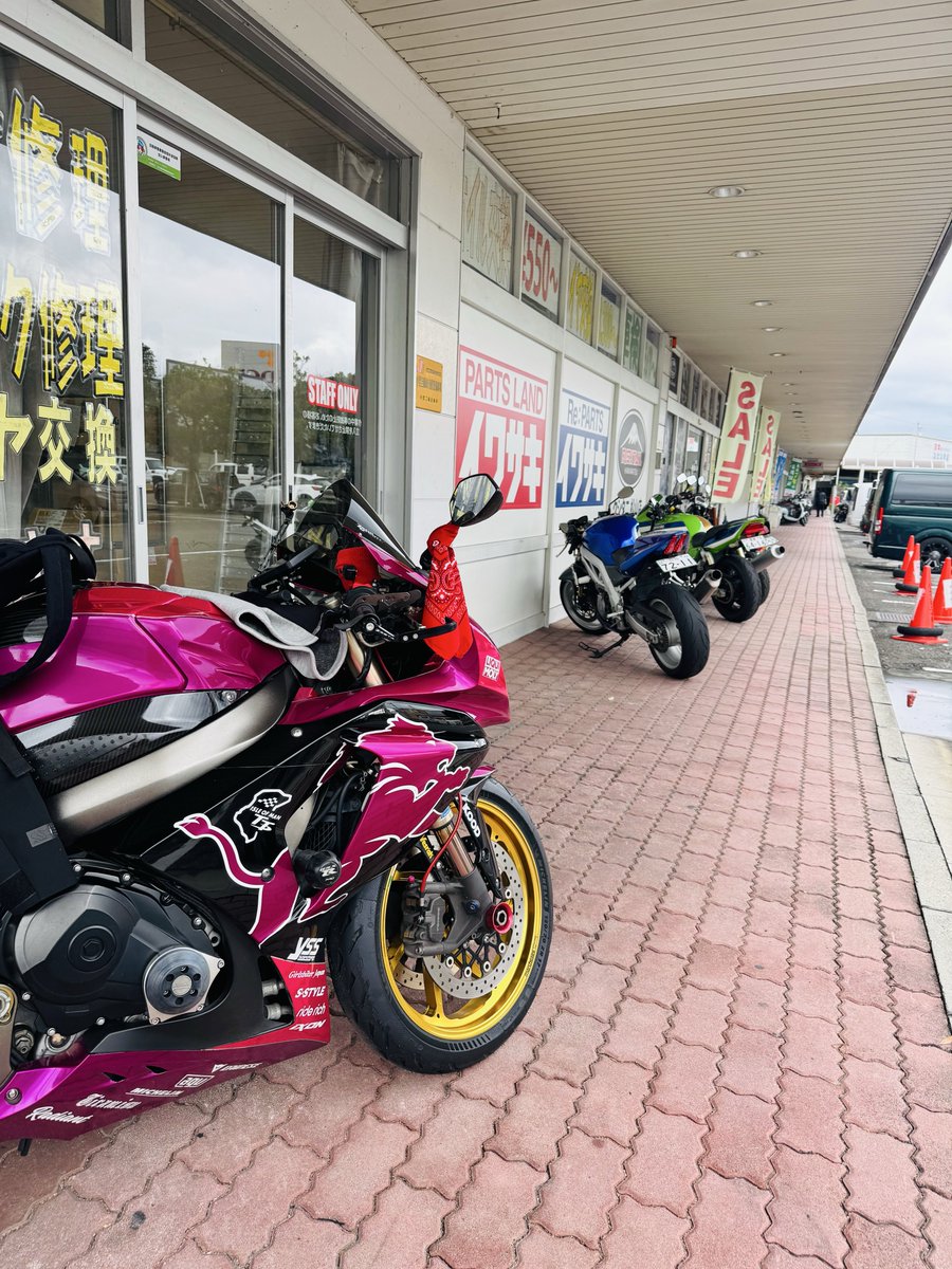 ネコちゃん photo 𝐒ちゃん🌸猫Photo Rider on X