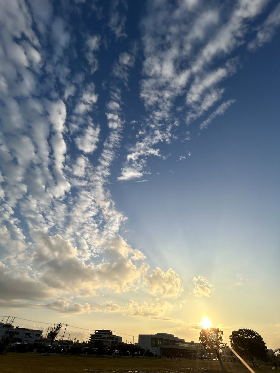 ❤️月月祈りヒーリング❀特大size ベビー鍼灸師🐈ゆりせんせ on X