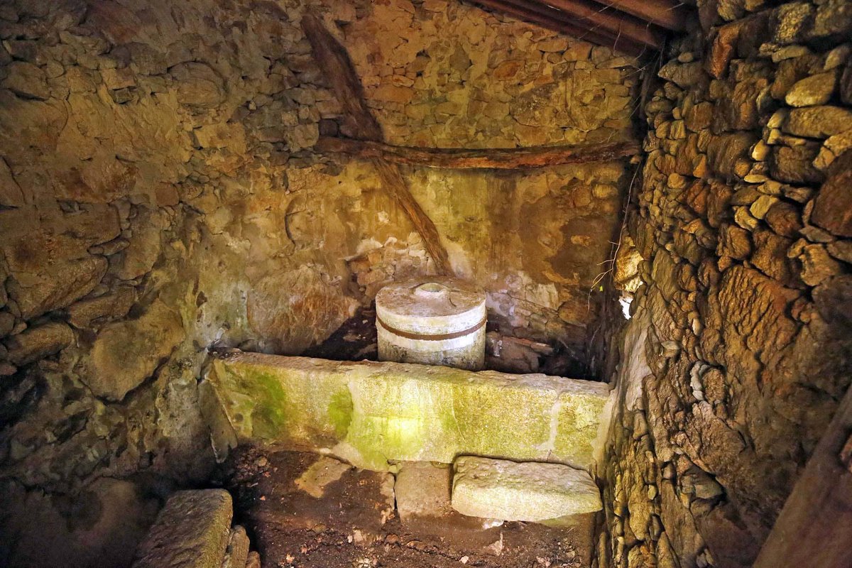 Tes plan para este domingo?

📍 A Ruta dos Muíños de Vesacarballa en Sabucedo, sería unha boa opción

Un agradable paseo nas aforas do <a href="/c_aestrada/">Concello da Estrada</a>