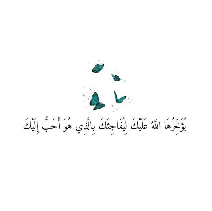 motm2na_'s tweet photo. ثق بالله واطمئن🤍.. https://t.co/oz4geXkKOw