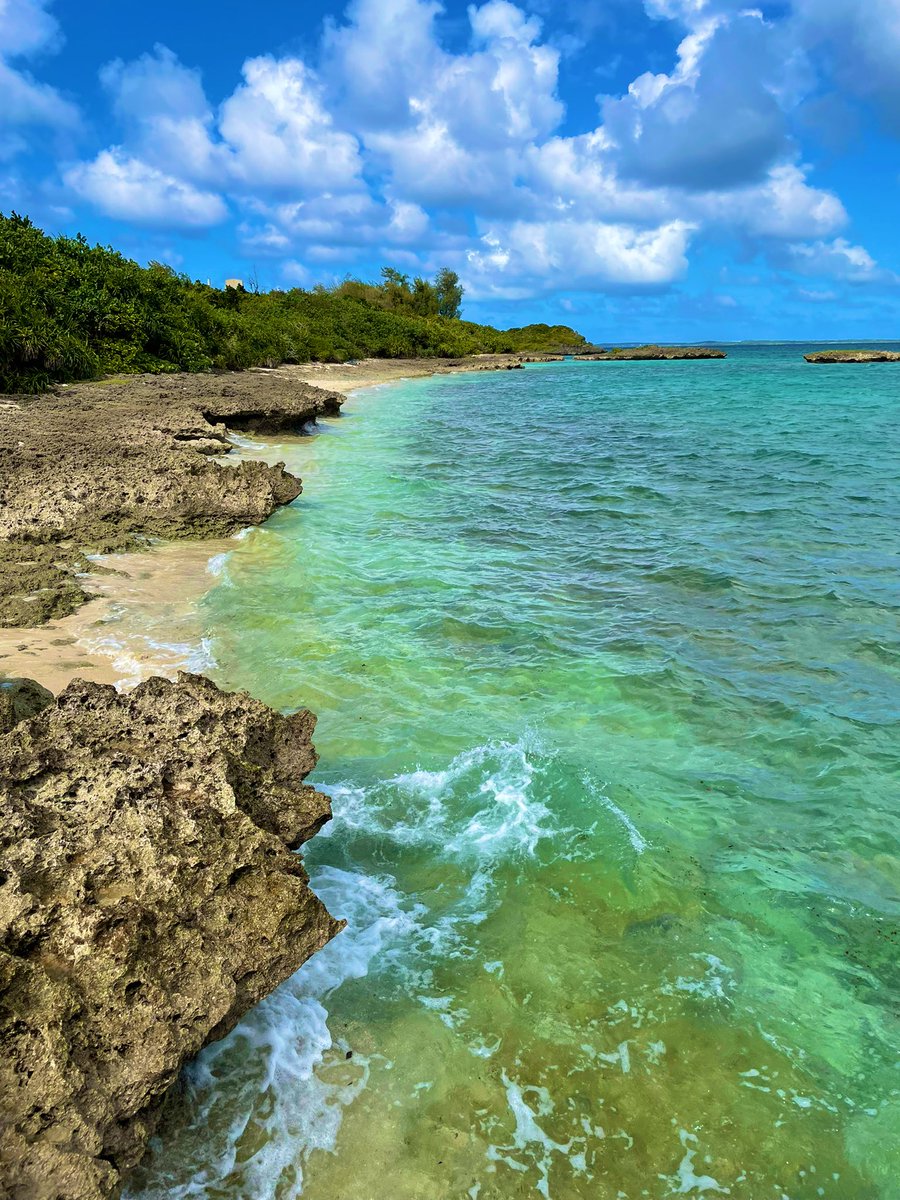 マオ旅　四国　沖縄　九州 マオジェル 限定 マオ旅3色セット 沖縄 四国 九州