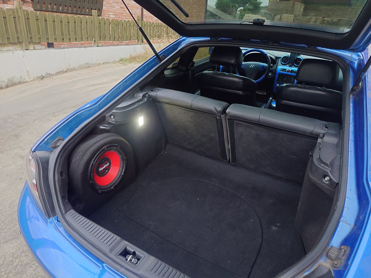 🥕HellGalaxy🥕 tweet media