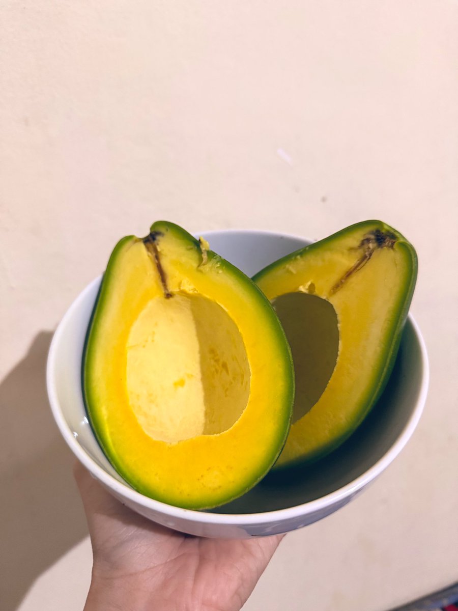 iceprincessyi's tweet photo. @poconxg 🥑 https://t.co/a8fFzCyksj