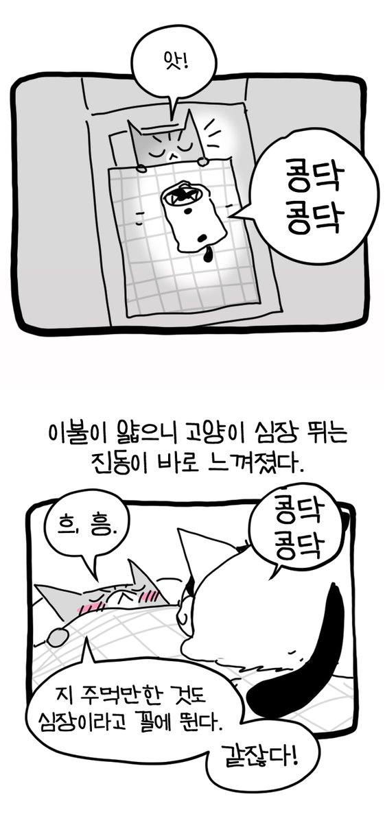 에어드랍 심장진동 

#고양이 #이불 #시어서커 #여름이불 #겨울이불 #옥수수솜 #솜이불 
