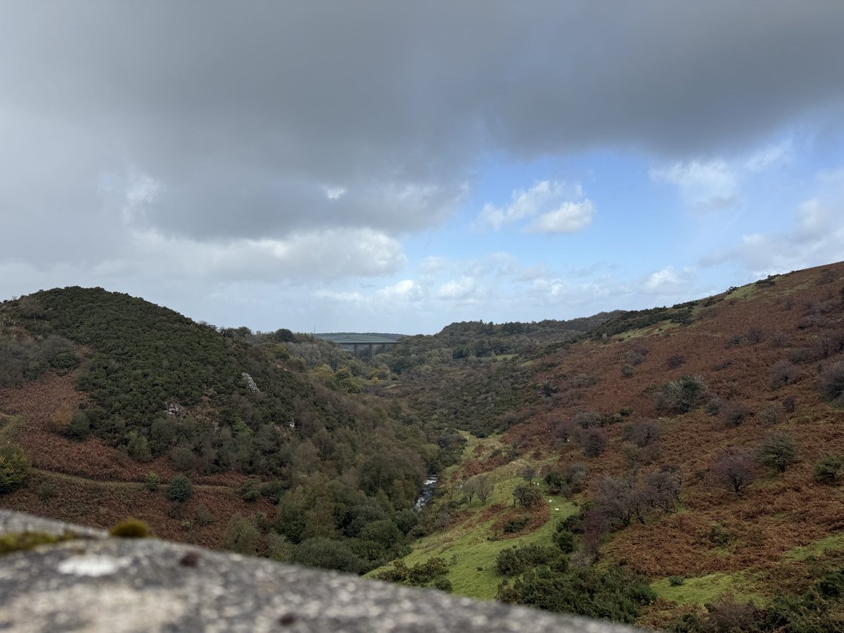 Ana The Guard tweet media