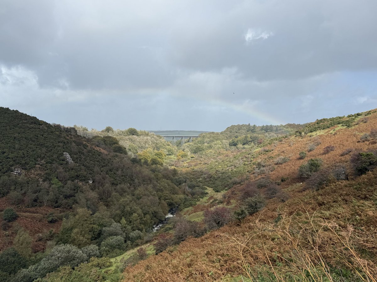 Ana The Guard tweet media