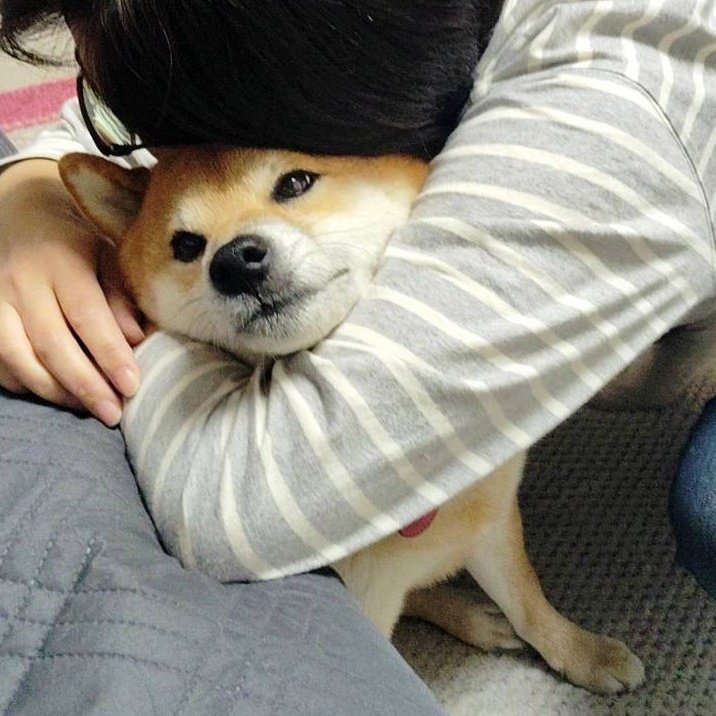 maru20180627's tweet photo. おかーさんの愛が重いです https://t.co/NJU6rowo51