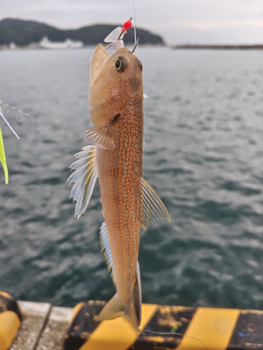 ゆうだち　赤いセミ ザキてつ on X