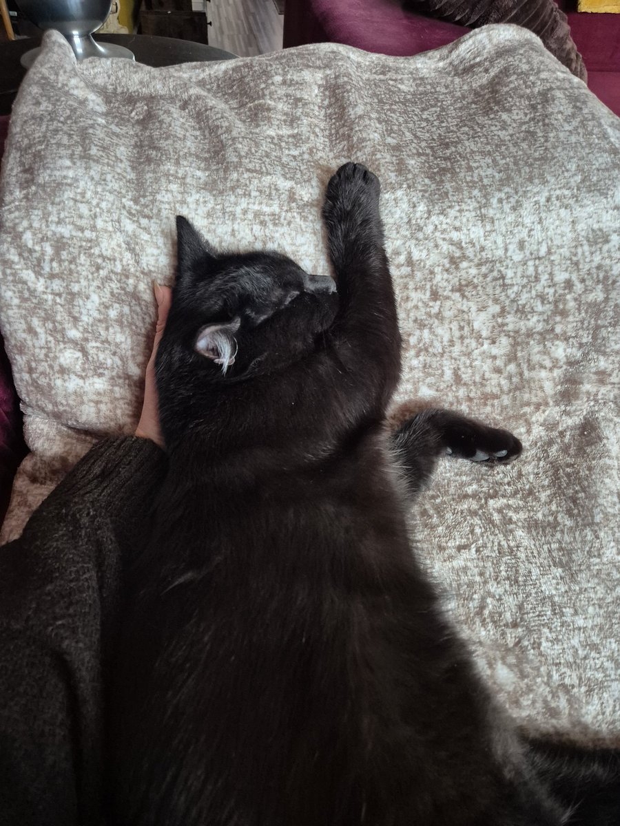 Hoe kan zo'n klein, schattig diertje toch zulke ranzige stinkscheten laten en waarom moet dat steeds als ze bij me ligt? 🤢