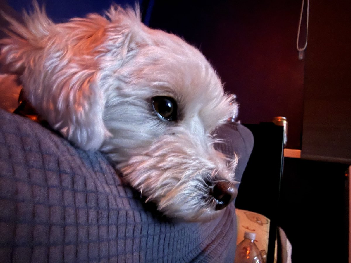 Is it breakfast time yet?