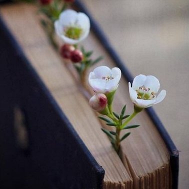 We don't know what tomorrow is going to bring and the only thing we really have is right now. So, don't stay angry for too long and learn to forgive.