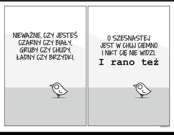 Przesłanie na dziś !