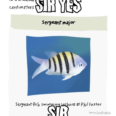 konohoshi_seina's tweet image. Idk man