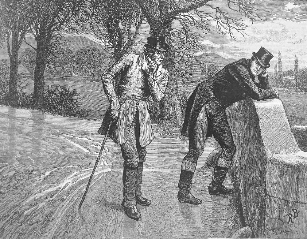 aysel44_aysel's tweet photo. #İllustration #RobertBarnes - (1840-1895) #Victorian web. https://t.co/puYzzjJ6Ps