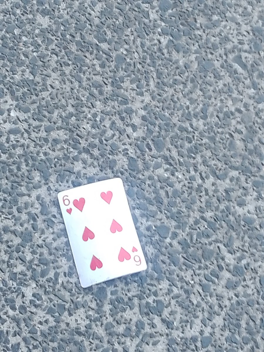 aplombjl's tweet photo. on the pavement 26 10 25 https://t.co/uHjgxIesxo