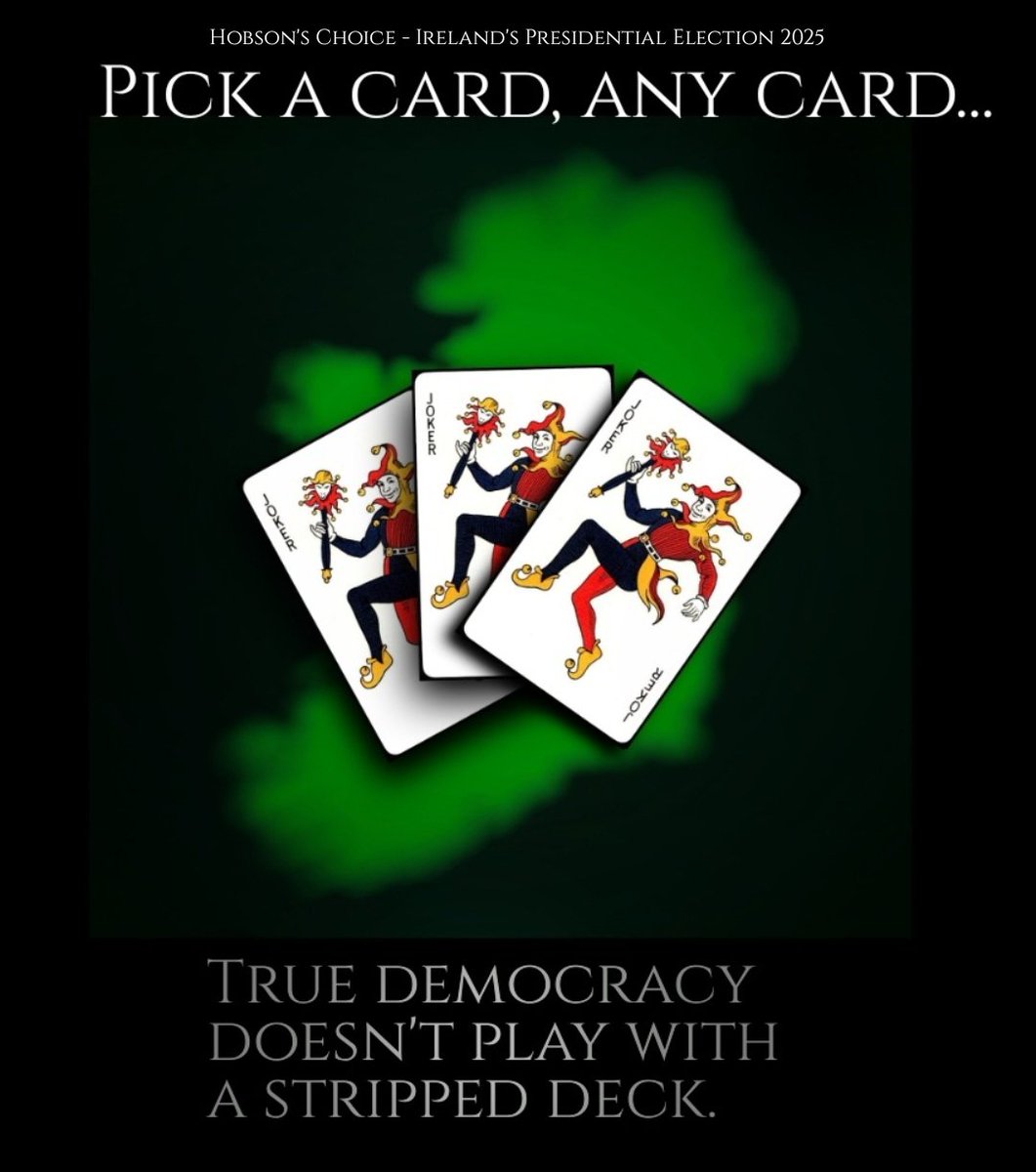 museumsireland's tweet photo. @Berlinnaeus The House always 'wins', especially when it has the 'Leinster' prefix!

Your pyrrhic victory is still a 'victory', but we'll enjoy our moral one for far longer.

#SpoilTheVote 
#SpoiledTheVote
#NotOurPresident https://t.co/g625HjWFqs