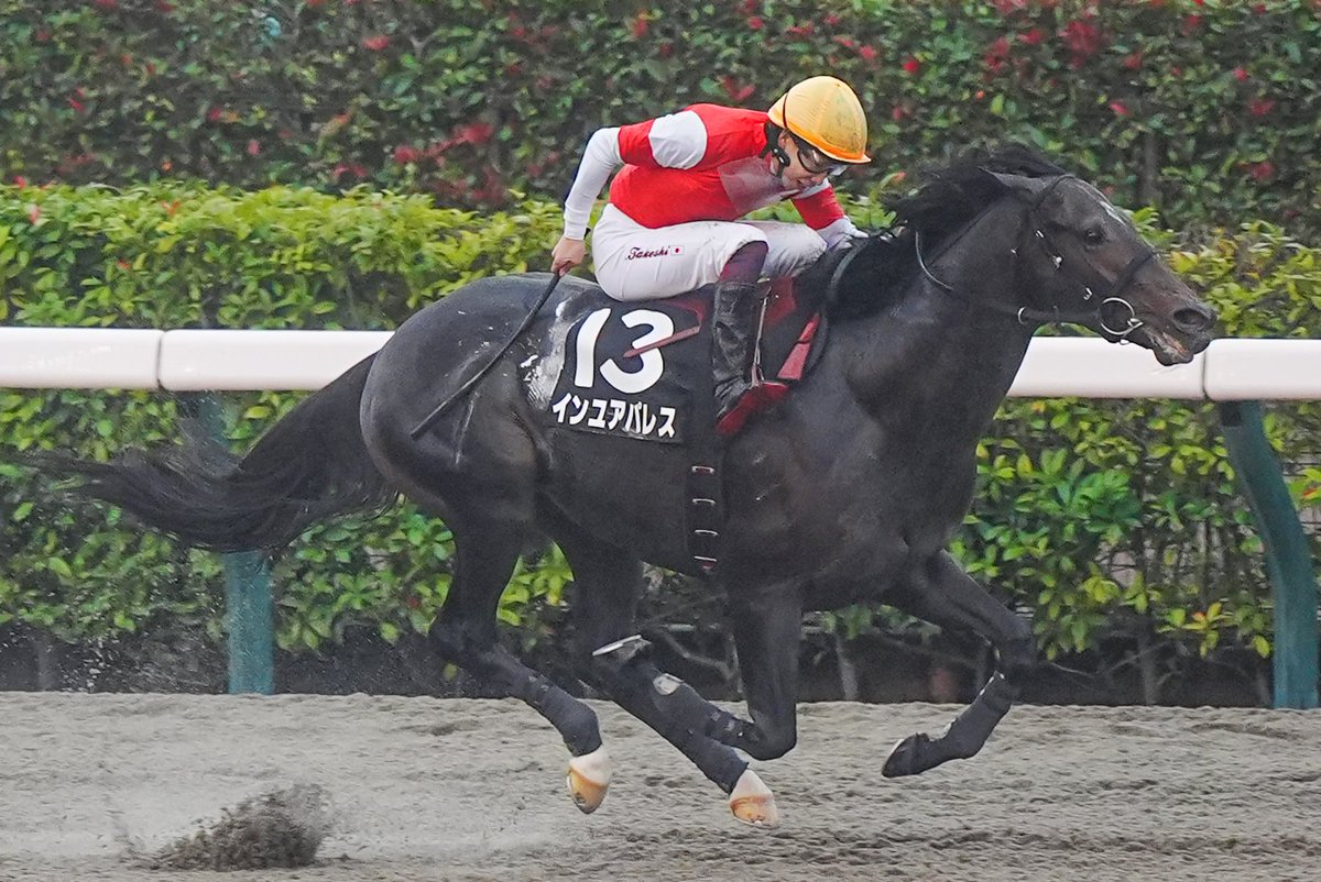 スポニチ競馬チャンネル on X