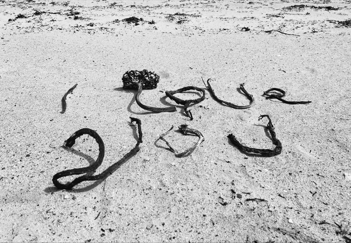 Lovethisland_'s tweet image. Traigh Bheasdaire. Berneray.

“Slipping through my fingers all the time …”

#hebrides #outerhebrides #Scotland