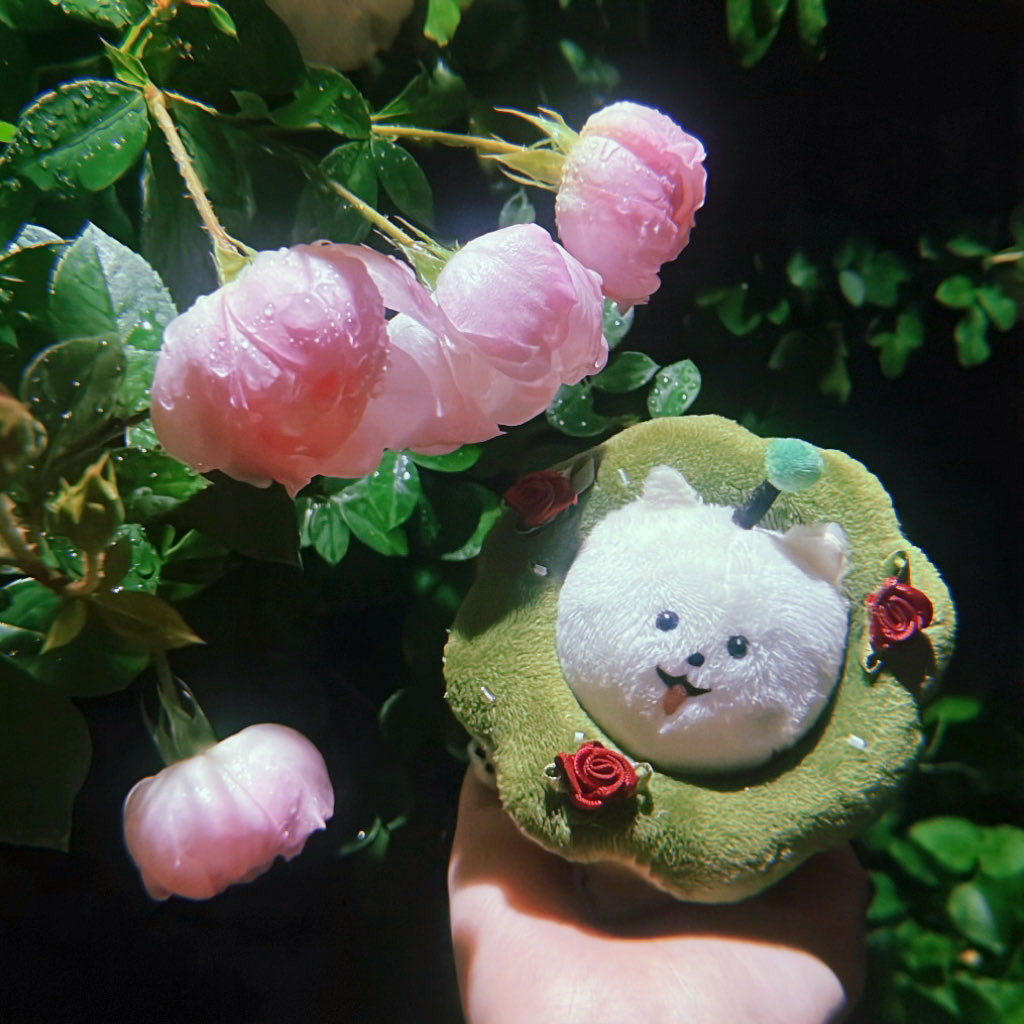 みみりん¨̮♡　ぬいぐるみ　MとS みみりん ぬいぐるみ - メルカリ