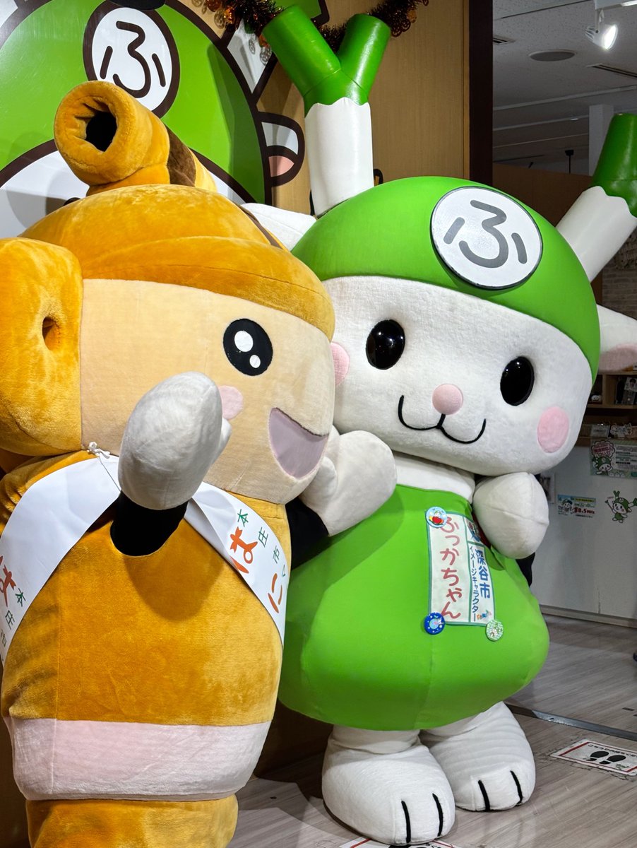 はにぽんが遊びに来てくれました❣️

ふっかちゃんとはにぽんの超かわゆすな写真をどうぞ〜Y(o0ω0o)Y📷

またふたりで遊びに来てね💚