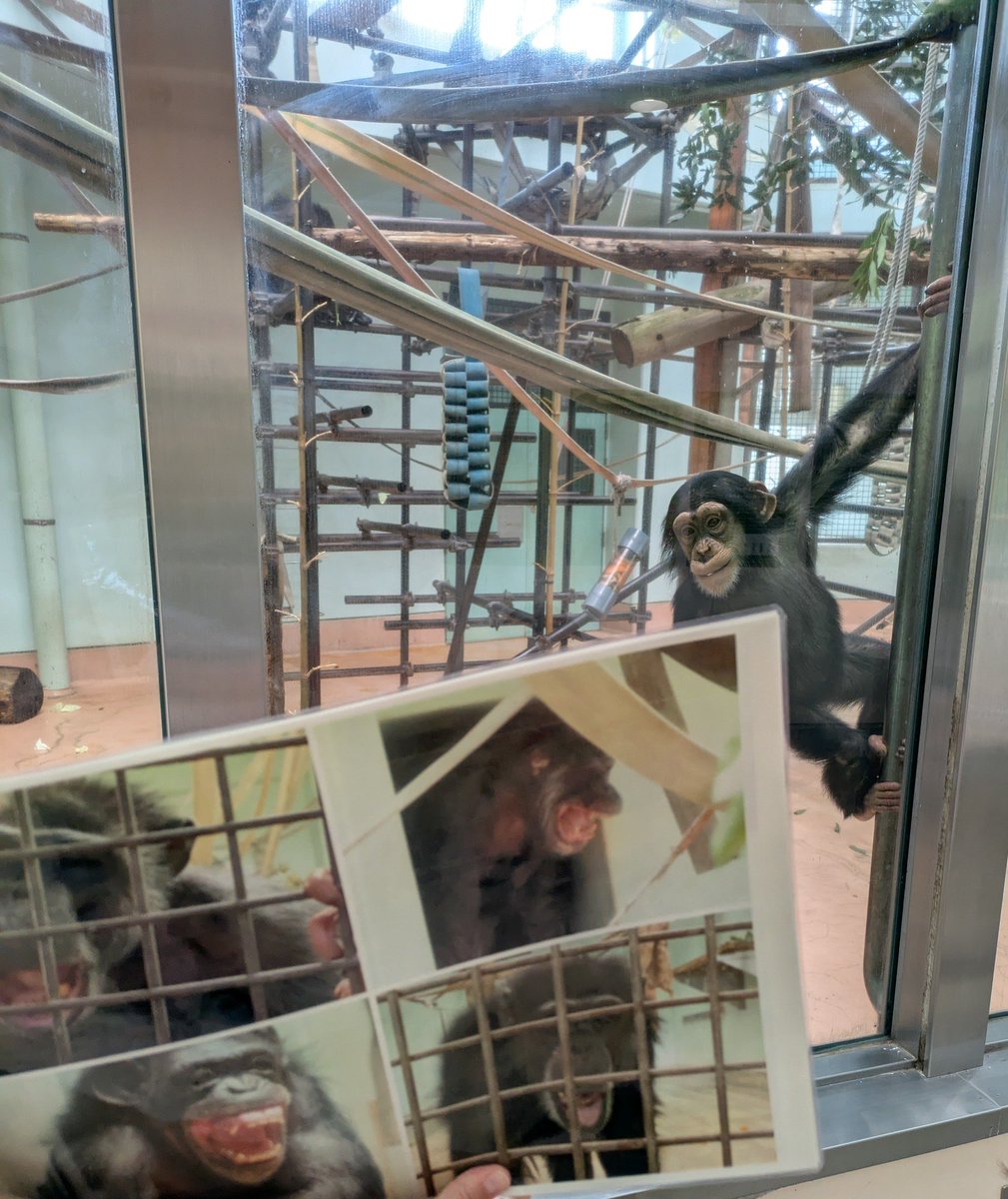 まるちゃん※プロフィール確認必須　様 まるちゃん※プロフィール確認必須 様 まるちゃん※プロフィール