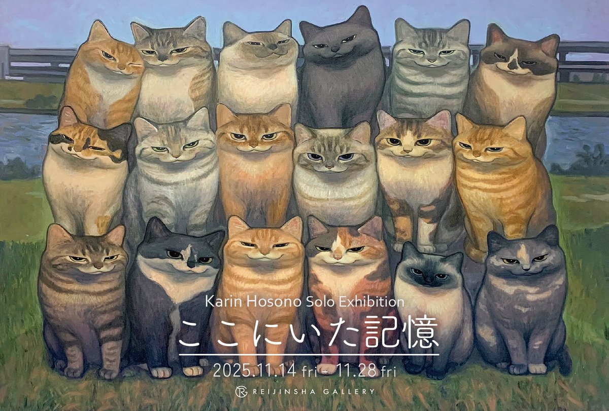 Karin Hosono個展11/14〜 (@KarinHosono) / Posts / X