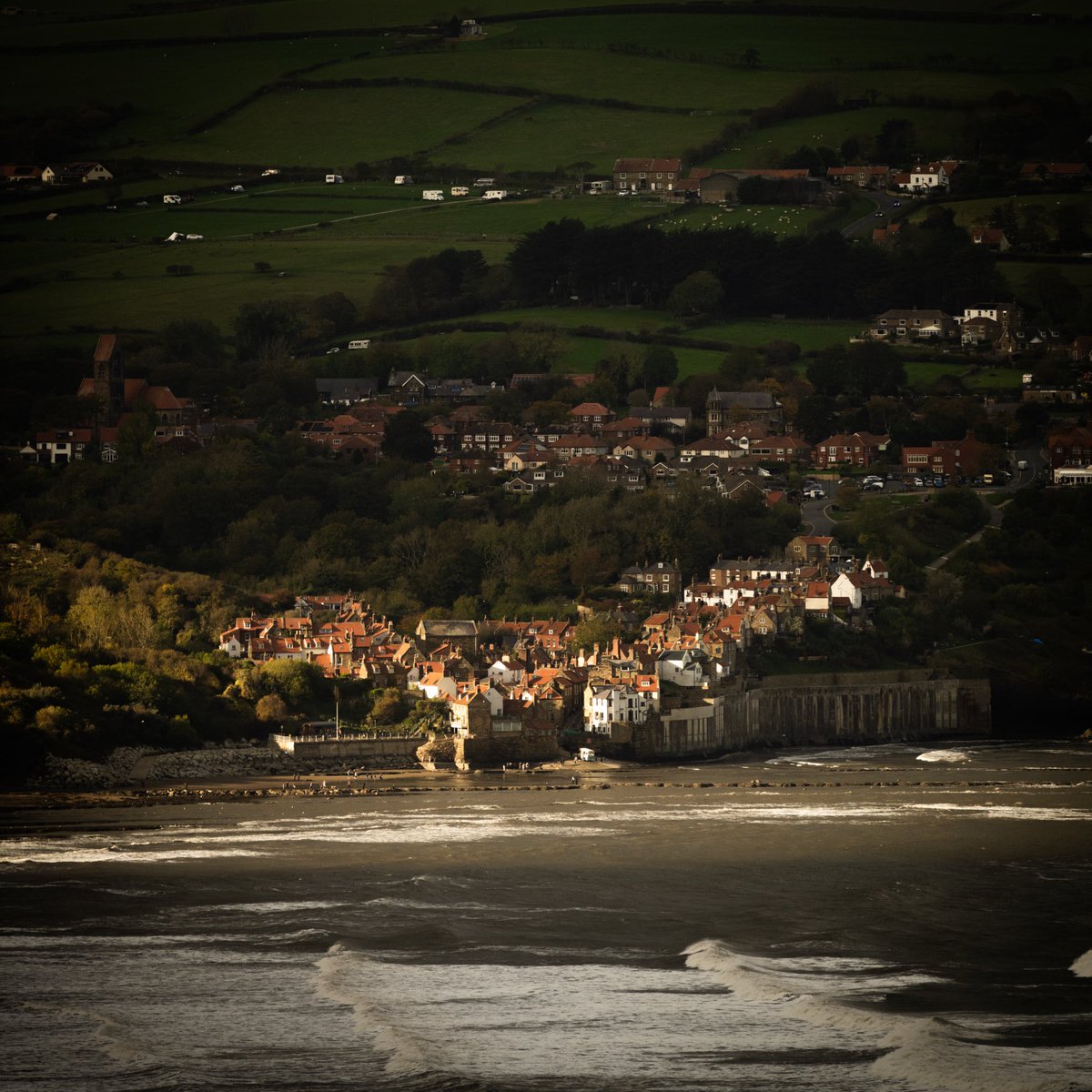 Brian Jenkins tweet media