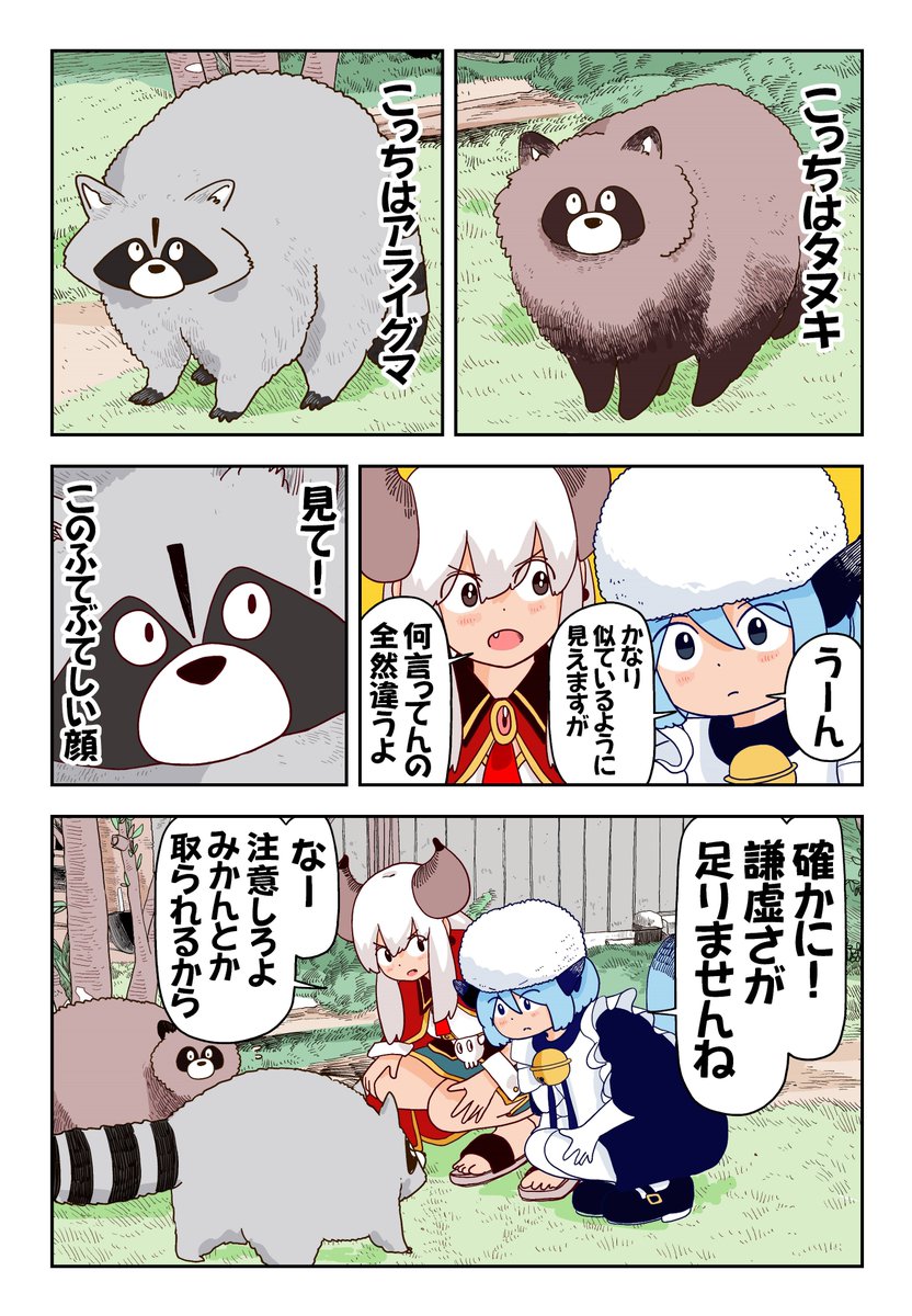 アライグマはたぬきに似てるけどぜんぜん違う！ 注意して見分けよう