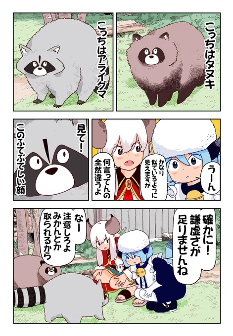 アライグマはたぬきに似てるけどぜんぜん違う!
注意して見分けよう! 