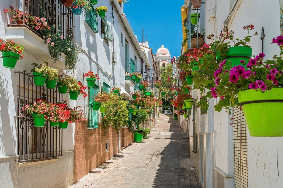 Cuando eliges turismo rural sostenible, no solo viajas: te conviertes en parte de la historia de un territorio.  El Turismo Generativo te invita a dejar huella positiva.
Más en isabelsancheztejado.com y turismogenerativo.com
#TurismoConPropósito #TurismoGenerativo