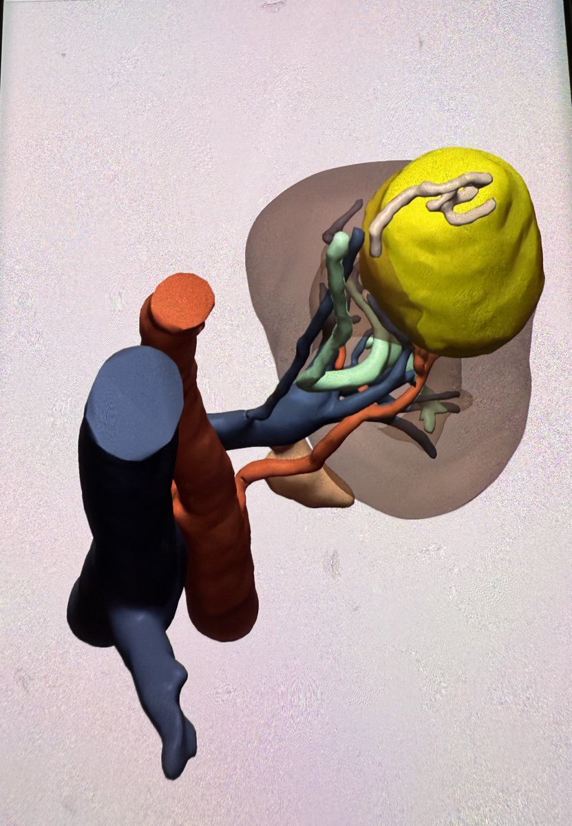 Bernardo Herrera Imbroda tweet media