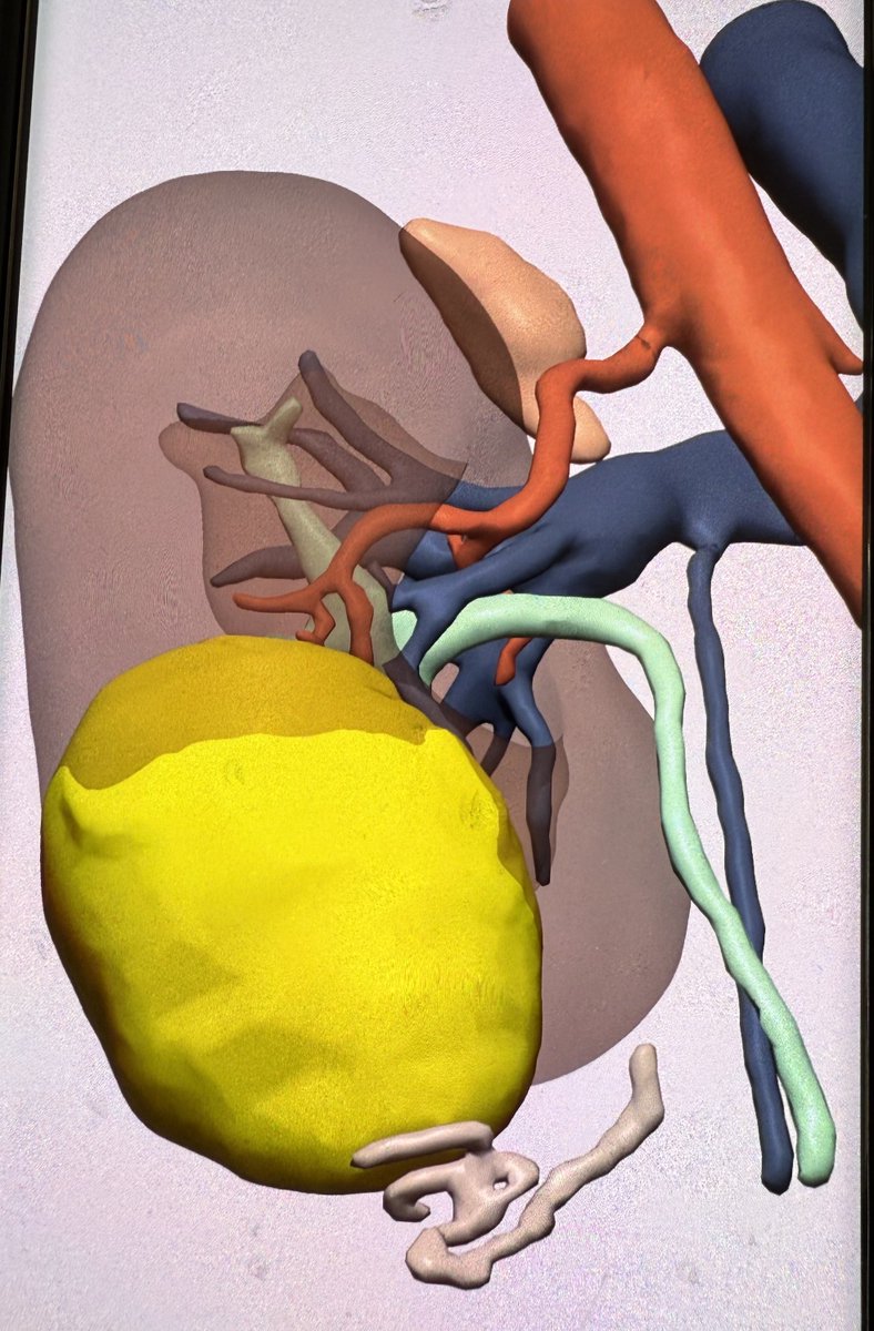 Bernardo Herrera Imbroda tweet media